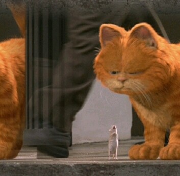 Garfield & Louis 35