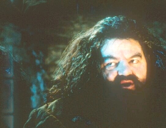 Hagrid 1a