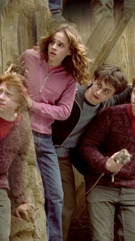 Harry, Hermione, & Ron 1c