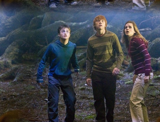 Harry, Ron, & Hermione 8e