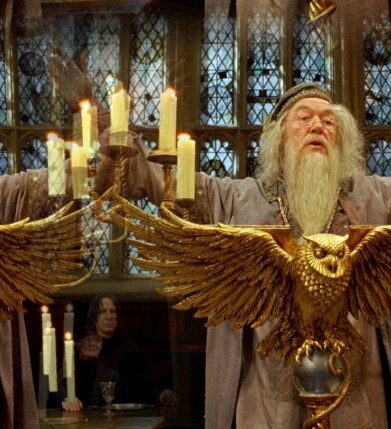 Dumbledore 9c