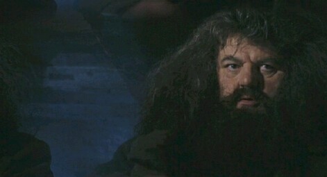 Hagrid 11a