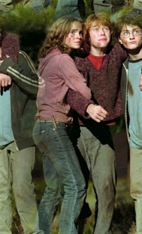 Harry, Hermione & Ron 11c