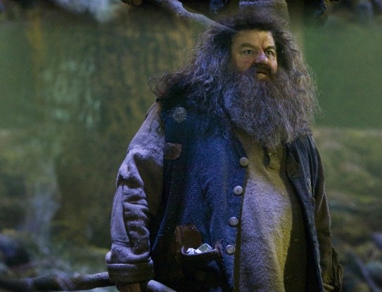 Rebeus Hagrid 19e