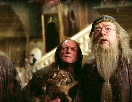 Dumbledore & Argus Filch 23c