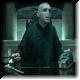 Lord Voldemort & Nagini 7g
