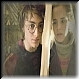 Harry & Hermione 62d