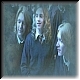 Hermione, Fred & George 70d