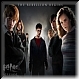 Ron, Ginny, Cho, Harry, Luna, Neville, & Hermione 80e