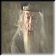 Professor Dumbledore 99d