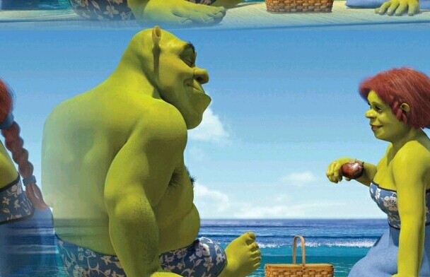 Shrek & Fiona 5b