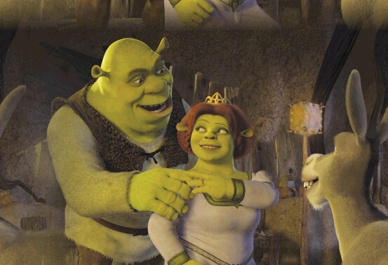 Shrek, Fiona & Donkey 6b