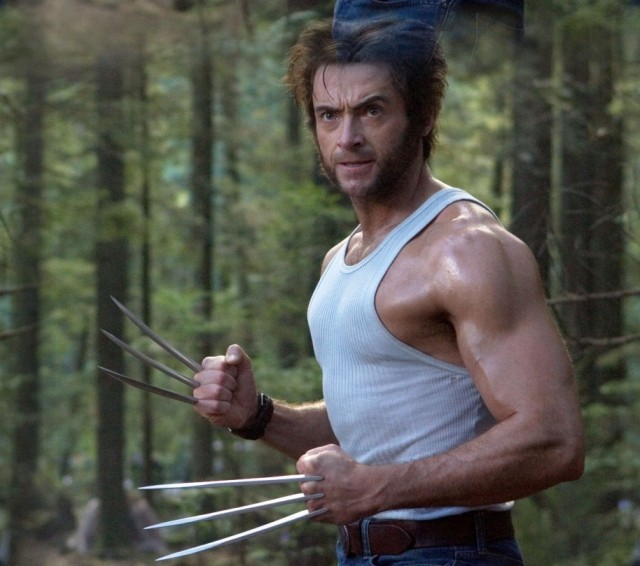 Logan/Wolverine 24