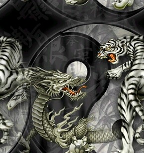 Dragon/Tiger 6