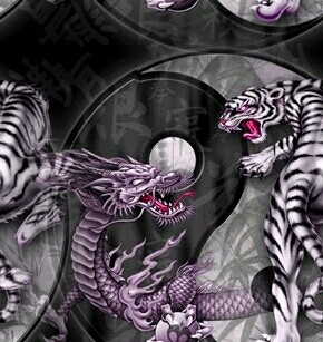 Dragon/Tiger 7