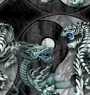 Dragon/Tiger 8