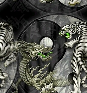 Dragon/Tiger 9