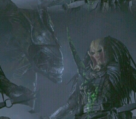 Alien & Predator 50