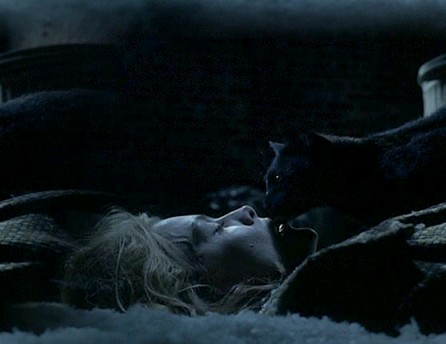 Selina Kyle & Cat 18b