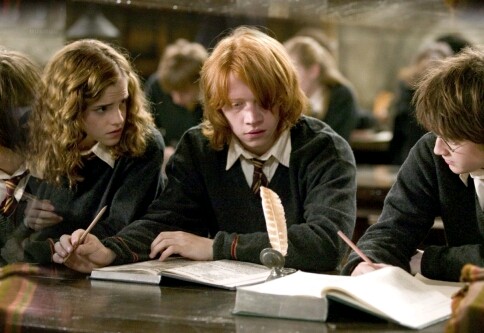 Harry, Ron & Hermione 6d