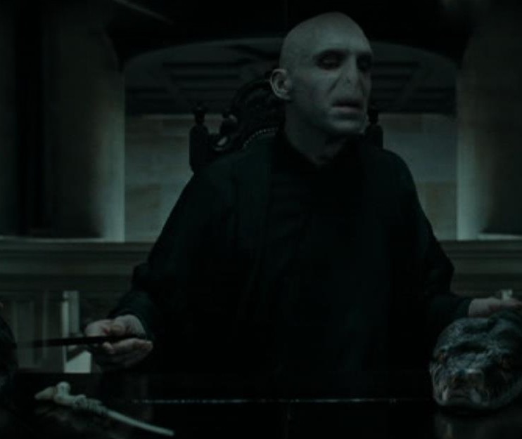 Lord Voldemort & Nagini 7g