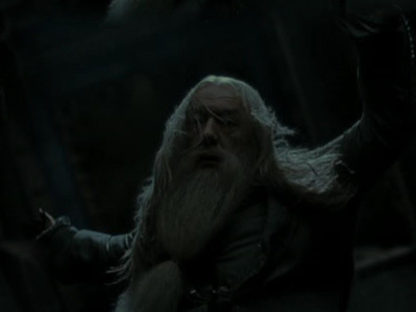 Albus Dumbledore 8g