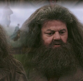 Hagrid 10b