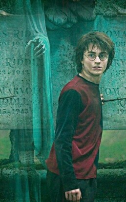 Harry Potter 11d