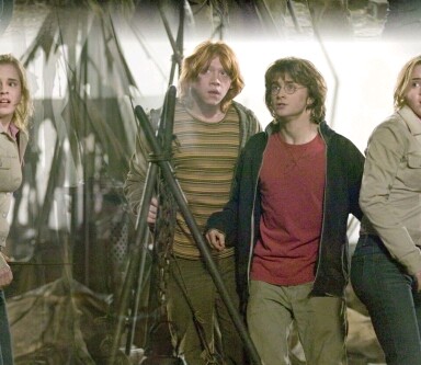 Harry, Hermione & Ron 13d