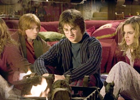 Harry, Hermione & Ron 14d