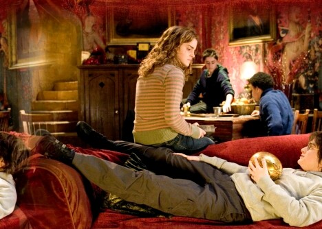 Harry & Hermione 15d