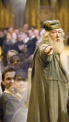 Professor Dumbledore 21d