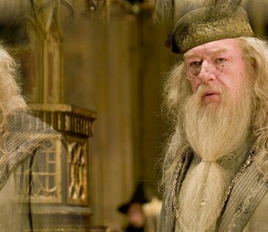 Professor Dumbledore 23d