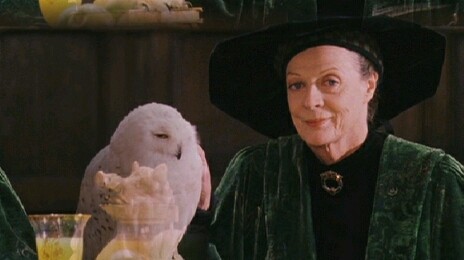 Professor McGonagall & Owl 25a