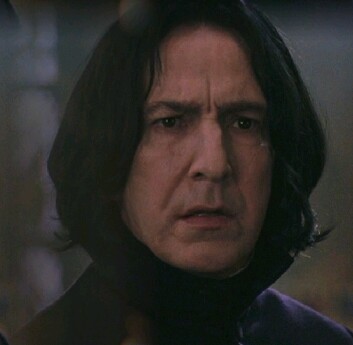 Professor Snape 30b
