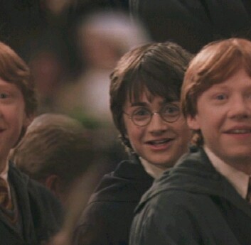 Harry & Ron 38b