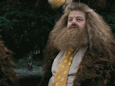 Hagrid 39c