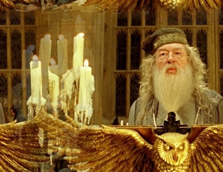 Professor Dumbledore 45d