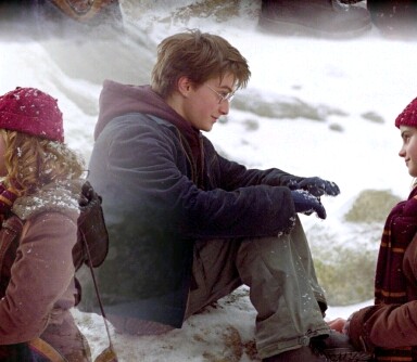 Harry & Hermione 63d