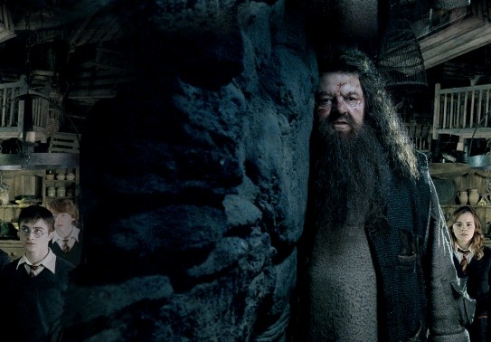 Rebeus Hagrid 65e