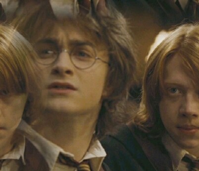 Harry & Ron 67d