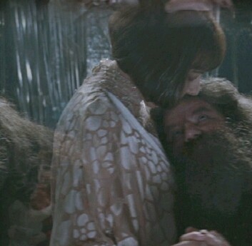 Hagrid & Madame Maxime 84d