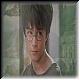 Harry Potter 8a