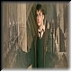 Harry, Hermione & Ron 8c