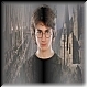 Harry Potter 18c