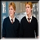 Fred & George Weasley 24e