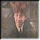 Ron Weasley 40b