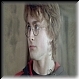 Harry Potter 44d