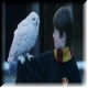 Harry & Hedwig 46a