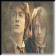 Harry & Ron 67d